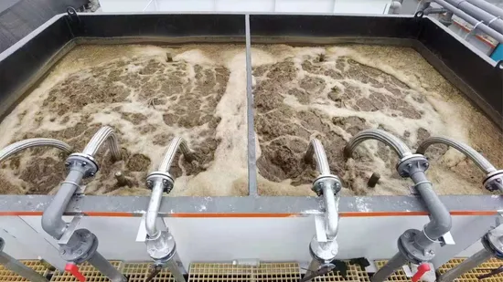 Slaughter House Sewage Treatment for Wastewater with Mbr System